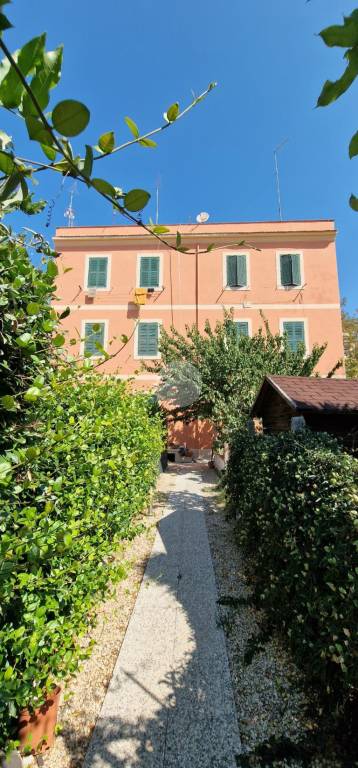 appartamento in affitto a Roma in zona Appio Claudio