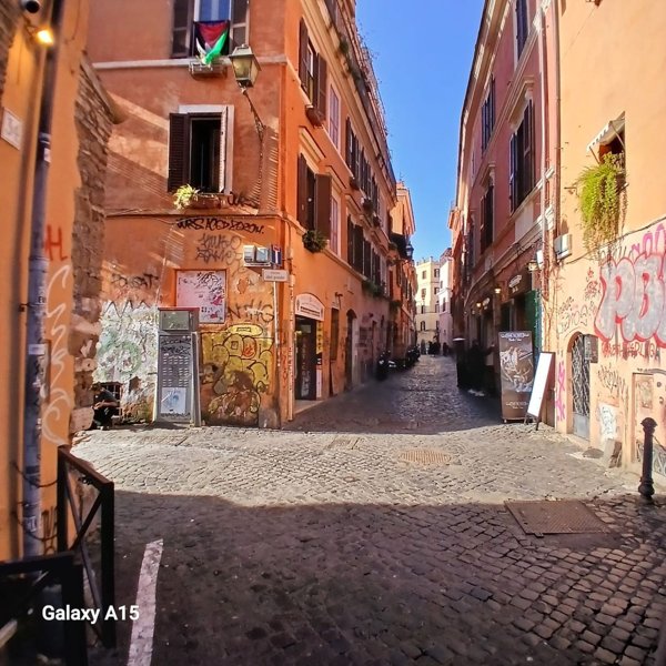 appartamento in affitto a Roma in zona Trastevere