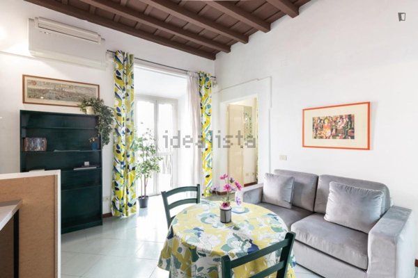 appartamento in affitto a Roma in zona Campo Marzio