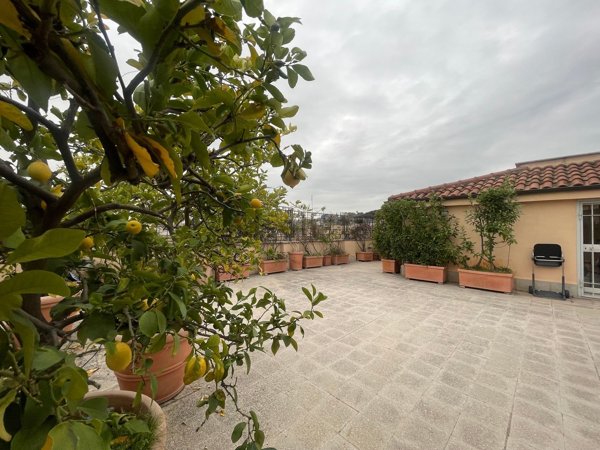 appartamento in affitto a Roma in zona Trastevere