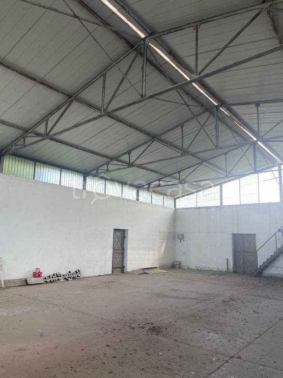 appartamento in affitto a Roma in zona Tor Vergata/Torrenova