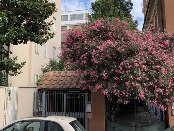 appartamento in affitto a Roma in zona Ostiense