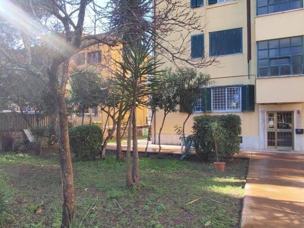 appartamento in affitto a Roma in zona Ostia