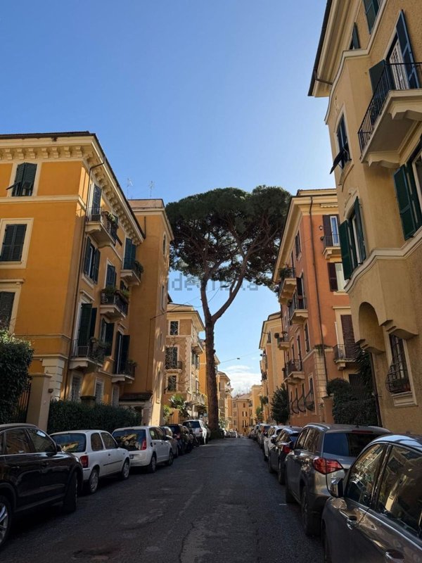 appartamento in affitto a Roma in zona Trieste