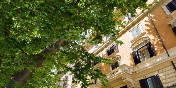 appartamento in affitto a Roma in zona Rione Prati