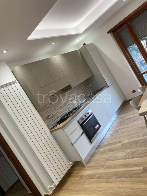 appartamento in affitto a Roma in zona Trionfale