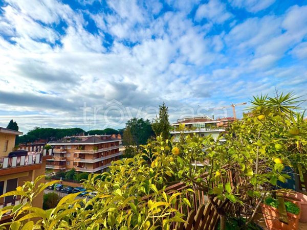 appartamento in affitto a Roma in zona Torrevecchia