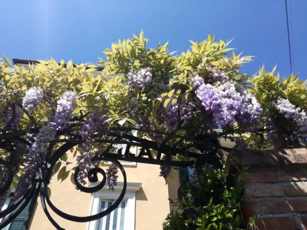 appartamento in affitto a Roma in zona Flaminio