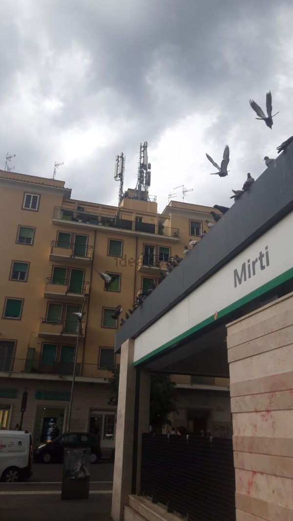 appartamento in affitto a Roma in zona Prenestino-Centocelle