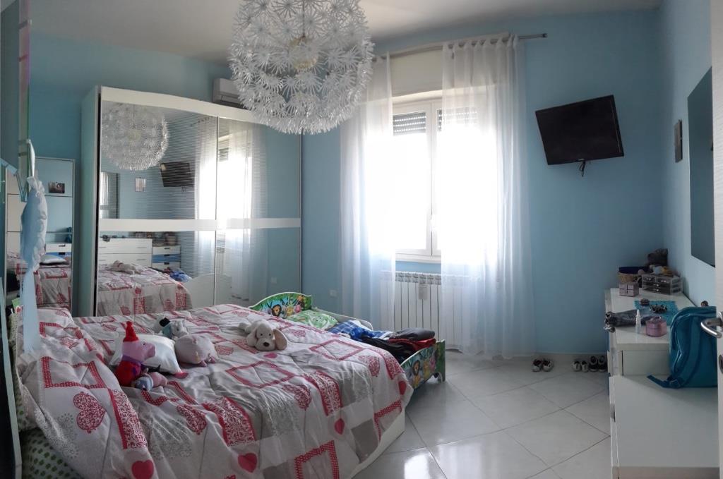 appartamento in affitto a Roma in zona Torrevecchia