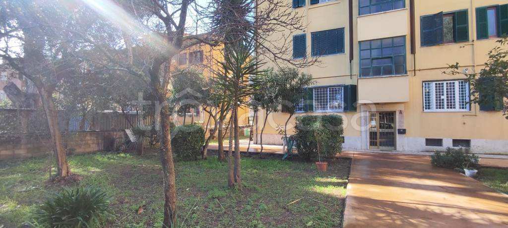 appartamento in affitto a Roma in zona Ostia