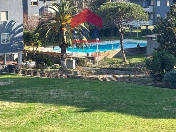 appartamento in affitto a Roma in zona Torrino