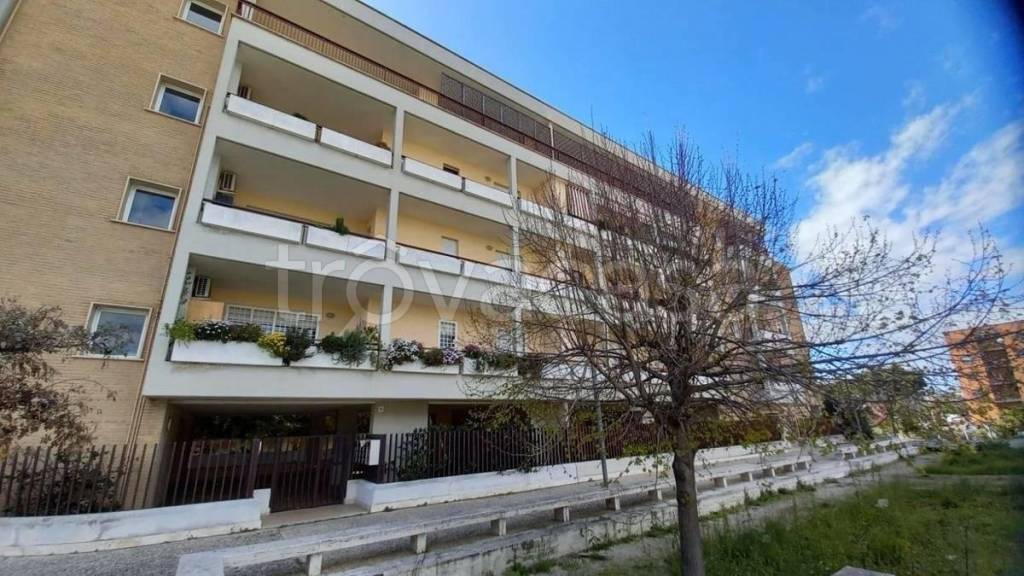 appartamento in affitto a Roma in zona Acilia