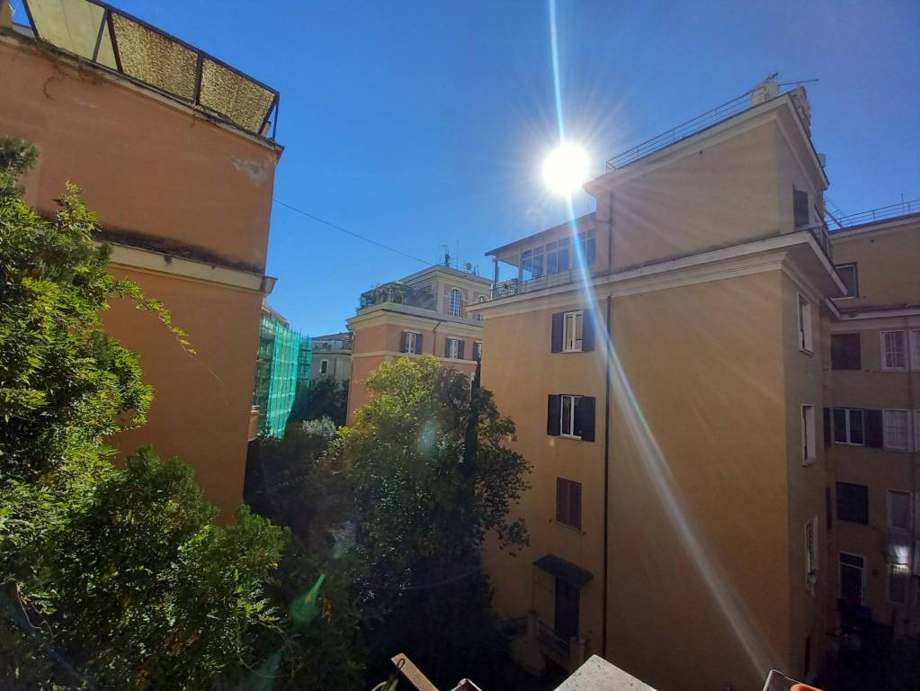 appartamento in affitto a Roma in zona Parioli