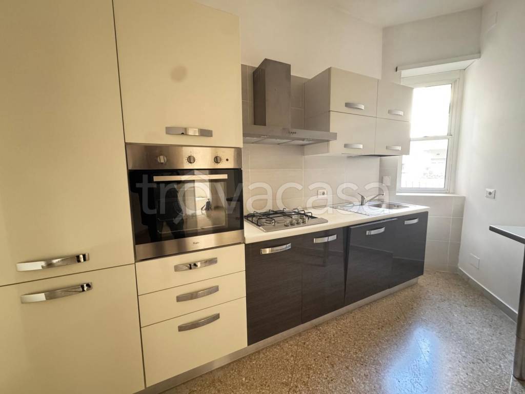 appartamento in affitto a Roma in zona Monte Sacro/Talenti