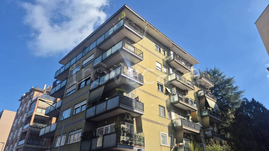 appartamento in affitto a Roma in zona Monte Sacro/Talenti