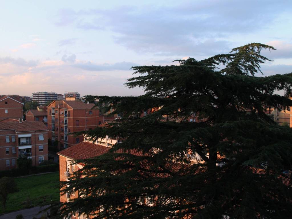 appartamento in affitto a Roma in zona Torre Spaccata