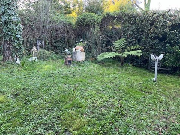 casa indipendente in affitto a Roma in zona Della Vittoria
