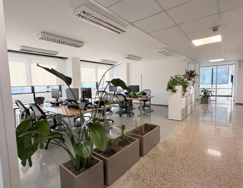 ufficio in affitto a Roma in zona Torrino