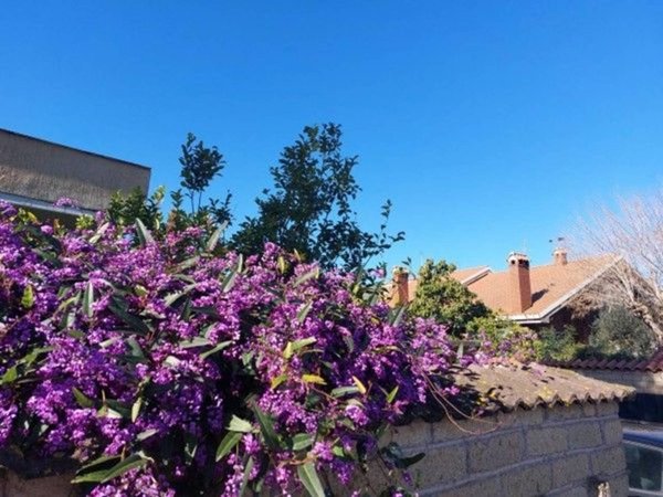casa indipendente in affitto a Roma in zona Gianicolense