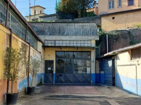 capannone in affitto a Roma in zona Pietralata