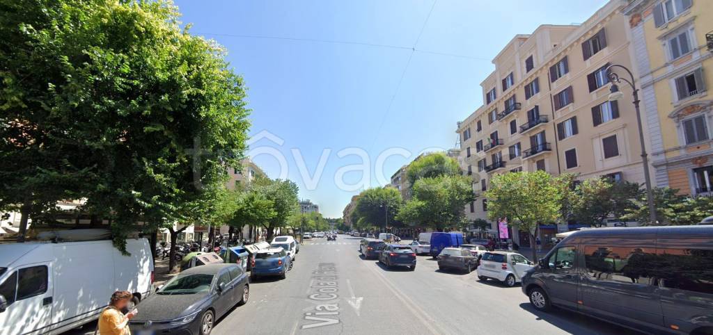 negozio in affitto a Roma in zona Rione Prati