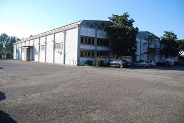 capannone in affitto a Roma in zona Appio Claudio