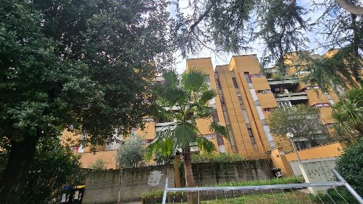 appartamento in affitto a Roma in zona Monte Sacro/Talenti