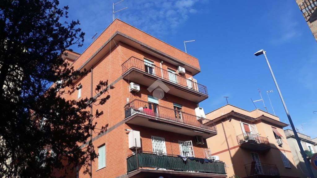 appartamento in affitto a Roma in zona Tor Vergata/Torrenova