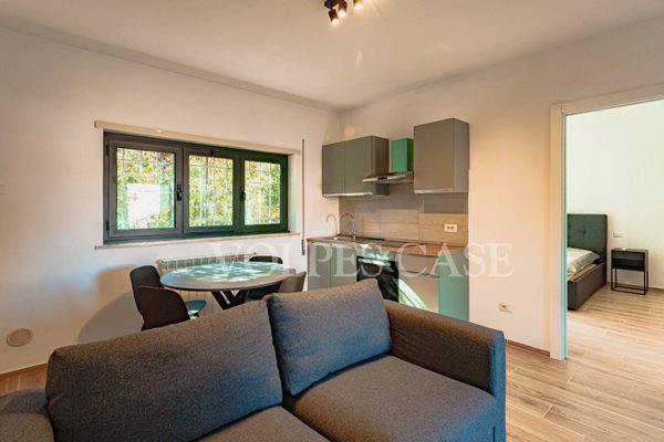 appartamento in affitto a Roma in zona Flaminio