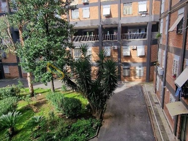 appartamento in affitto a Roma in zona Portuense