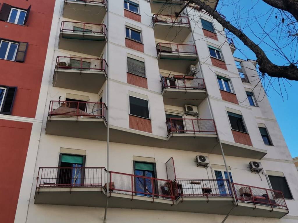 appartamento in affitto a Roma in zona Flaminio