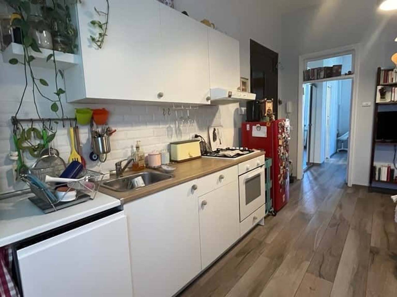 appartamento in affitto a Roma