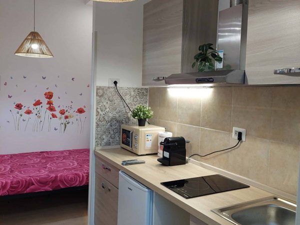 appartamento in affitto a Roma in zona Flaminio