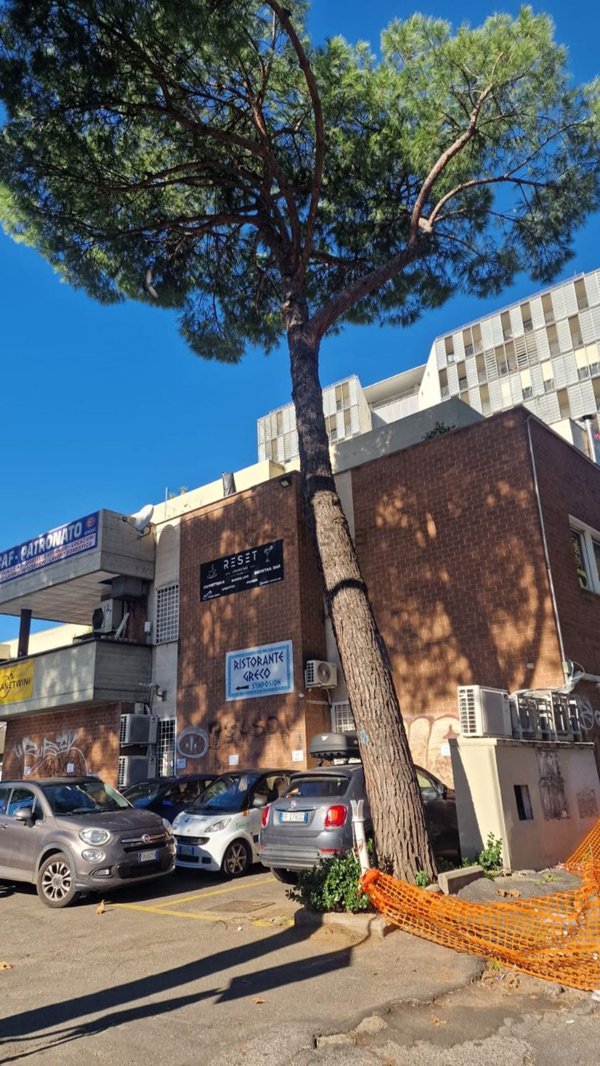 ufficio in affitto a Roma in zona Nomentano