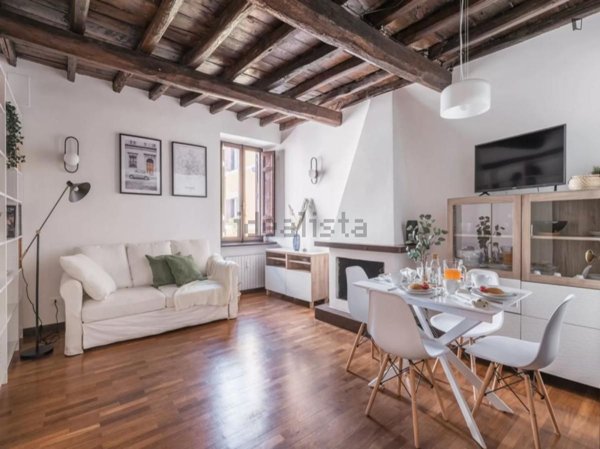 appartamento in affitto a Roma in zona Trastevere