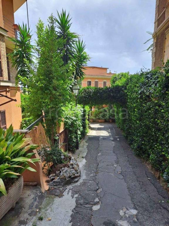 appartamento in affitto a Roma in zona Trastevere
