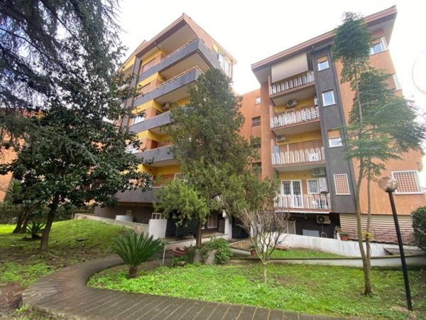 appartamento in affitto a Roma in zona Monte Sacro/Talenti