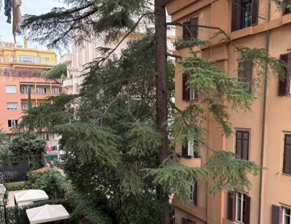 appartamento in affitto a Roma in zona Trieste