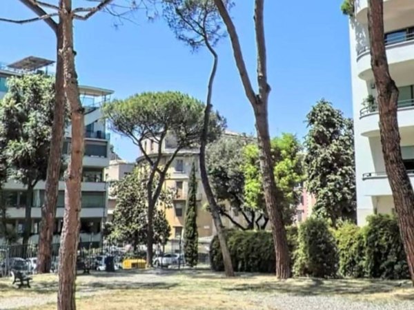 appartamento in affitto a Roma in zona Parioli
