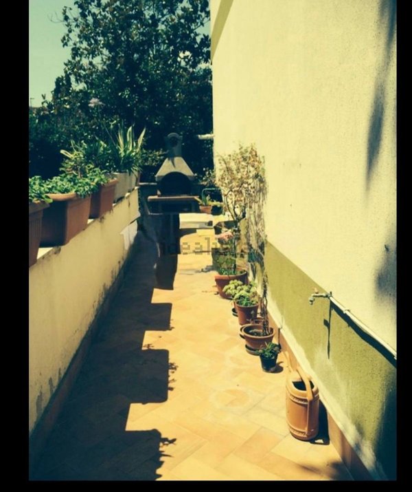 casa indipendente in affitto a Roma in zona Trionfale