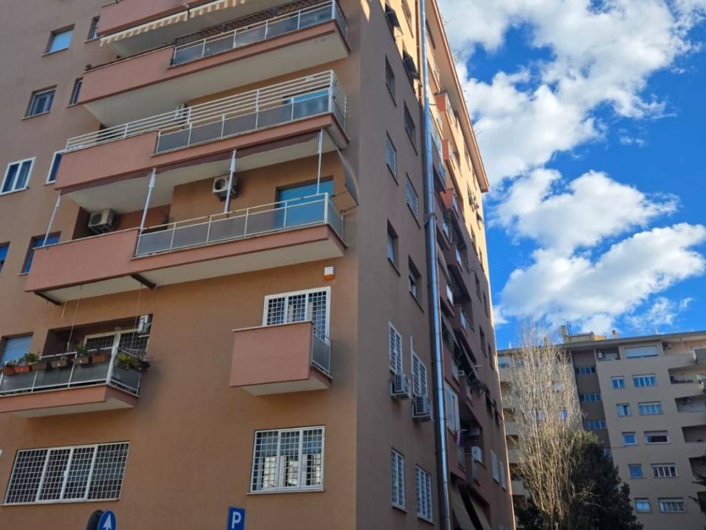 appartamento in affitto a Roma in zona Monte Sacro/Talenti