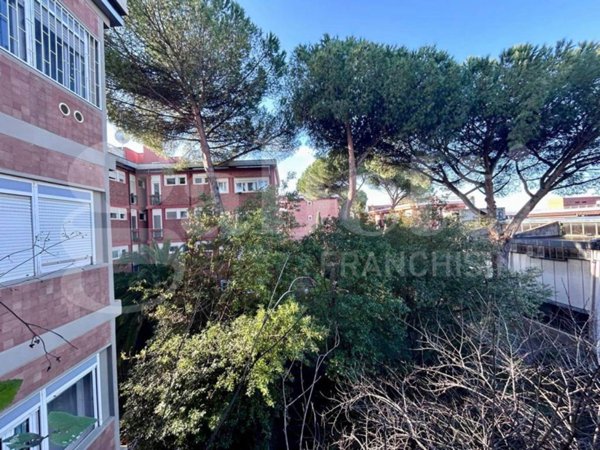 appartamento in affitto a Roma in zona Trieste