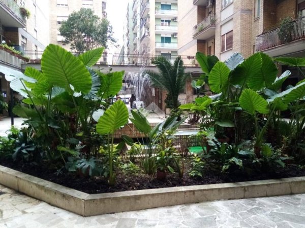 appartamento in affitto a Roma in zona Ostiense