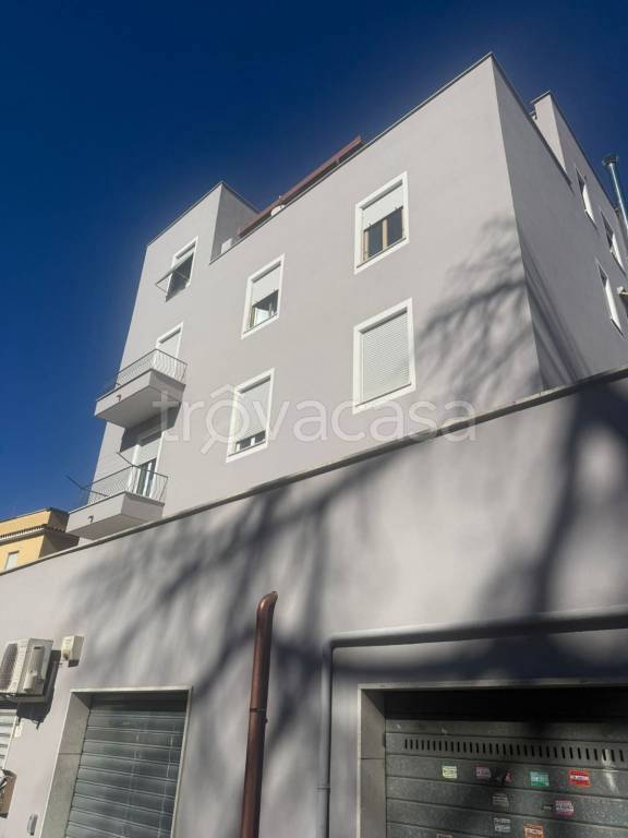 appartamento in affitto a Roma in zona Trionfale