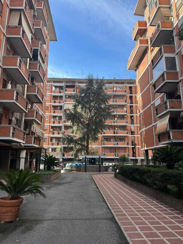 appartamento in affitto a Roma in zona Tuscolano