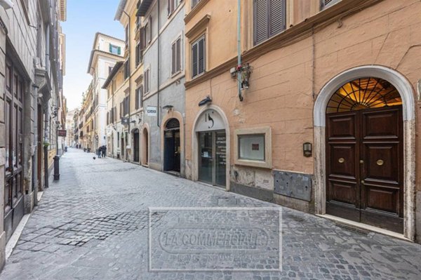 appartamento in affitto a Roma in zona Campo Marzio