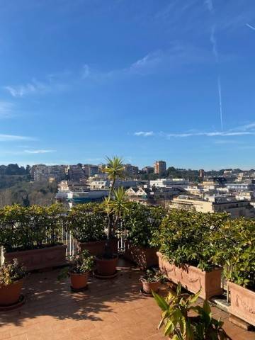 appartamento in affitto a Roma in zona Aurelio