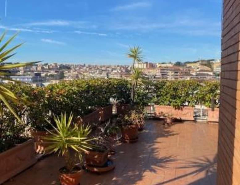 appartamento in affitto a Roma in zona Aurelio
