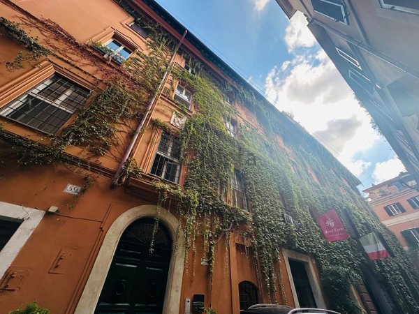 appartamento in affitto a Roma in zona Campo Marzio